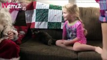 Le Père Noël en personne apporte leurs animaux aux adoptants… Une initiative complètement magique !