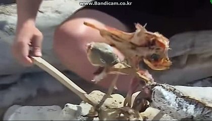 がさ토토솔루션,토토제작,토토창업,자동마감토토솔루션,사설토토제작,토토프로그램 올자동すに (카톡haricuty스카이프cuty hary)