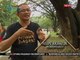 Filipino martial arts, sinasalamin ang pagiging maparaan ng mga Pilipino