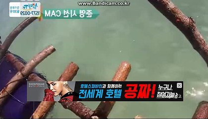 토토솔루션가격【카톡haricuty 스카이프cuty hary】