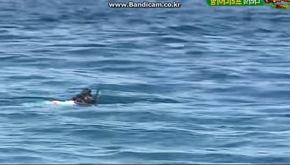 사설사이트제작 ,사설사이트업체,사설사이트판매,사설사이트가격,사설사이트임대 카톡:haricuty 스카이프:cuty hary