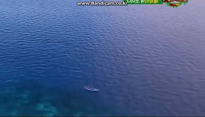 토토 솔루션 제작 전문업체