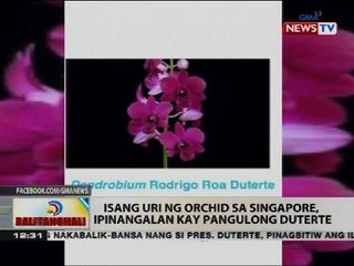 BT: Isang uri ng orchid sa Singapore, ipinangalan kay Pangulong Duterte