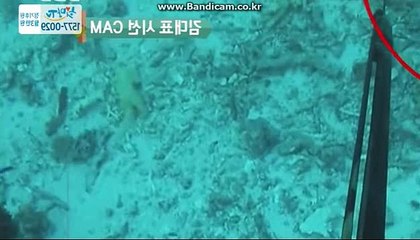 [CODSOFTsolution]솔루션제작,자판기제작,밸런스제작,통합프로그램