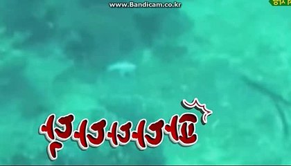 [CODSOFTsolution]밸런스제작해드려요