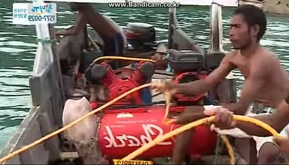 [solution]통합프로그램제작,밸런스제작,스포츠에관한 모든것