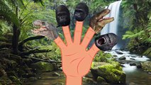 Finger Family Crazy Dinosaur Vs Crazy Gorilla | Animals Cartoons Finger Family Nursery Rhymes