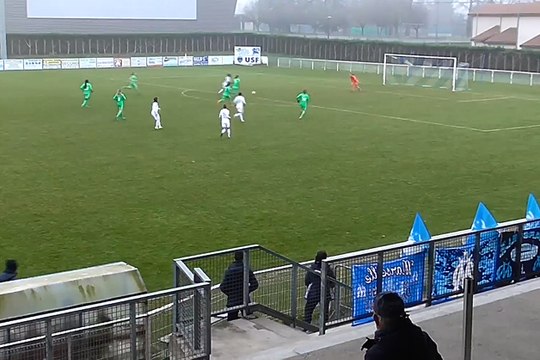 D1 - Saint-Etienne 0-2 OM : le but de Viviane Asseyi (56e)