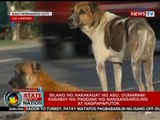 SONA: Bilang ng nakakagat ng aso, dumarami kasabay ng pagdami ng nangangaroling at nagpapaputok