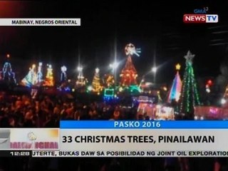 BT: 33 Christmas trees, pinailawan