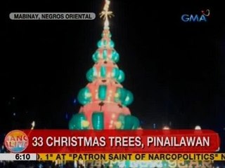 UB: 33 Christmas tress, pinailawan