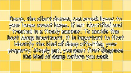 Tell-Tale Signs - What Kind of Damp Is Affecting Your Property?