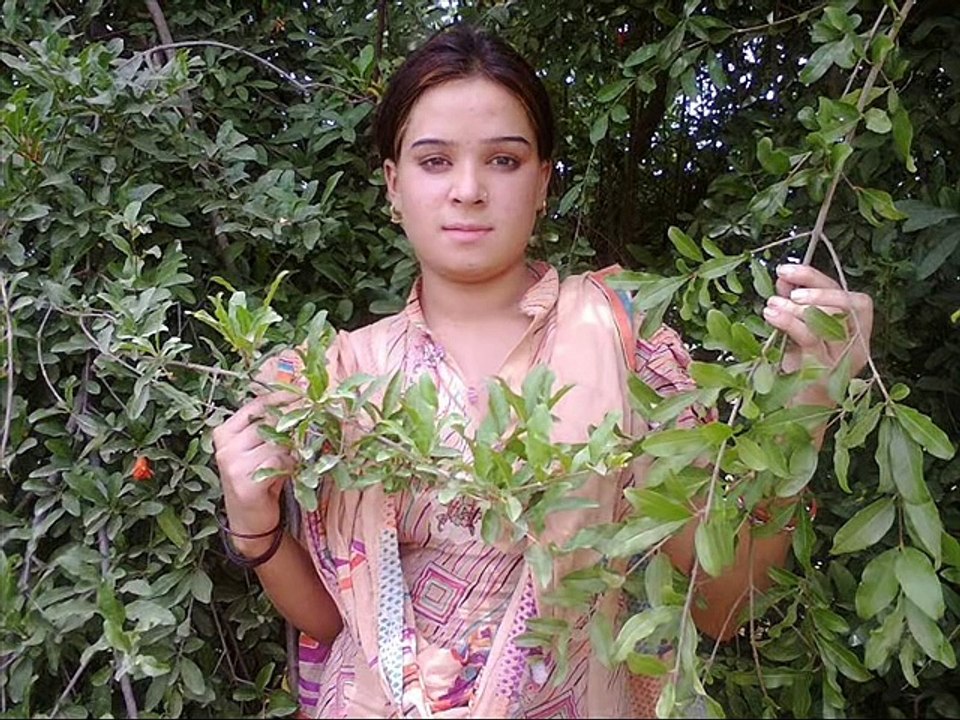 Aashiqa Jeney___ Pashto Call