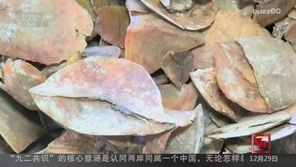 China Announces Largest-Ever Seizure of World's Most Trafficked Mammal
