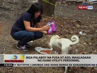 Mga palaboy na pusa at aso, inaalagaan ng isang utility personnel