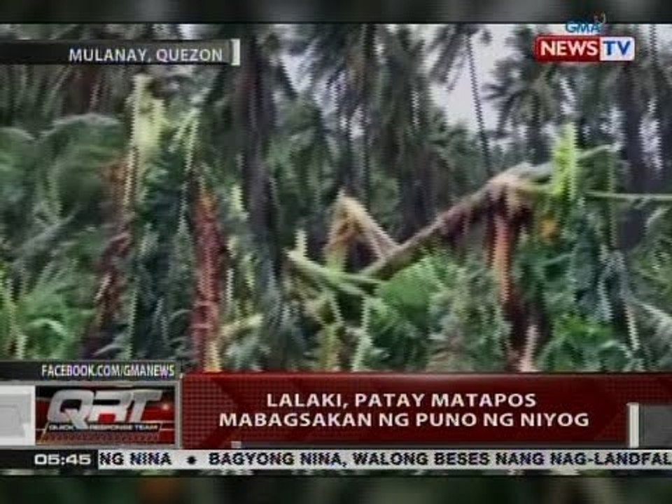 QRT: Lalaki, patay matapos mabagsakan ng puno ng niyog
