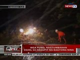 QRT: Mga puno, nagtumbahan dahil sa hagupit ng bagyong Nina