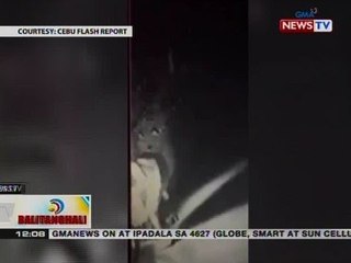 BT: Panghahablot sa bag ng isang babae, na-hulicam