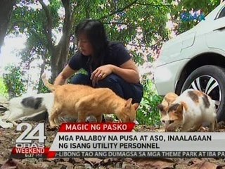 24 Oras: Mga palaboy na pusa at aso, inaalagaan ng isang utility personnel