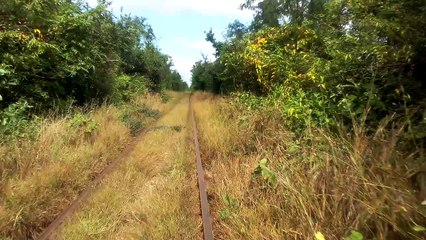 2016-12-23 Train Bamboo