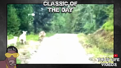 Best Thug Life Compilation of 2016 Part 153