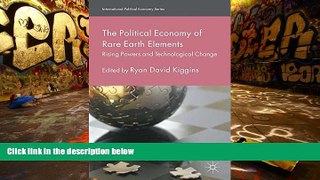 Audiobook  The Political Economy of Rare Earth Elements: Rising Powers and Technological Change