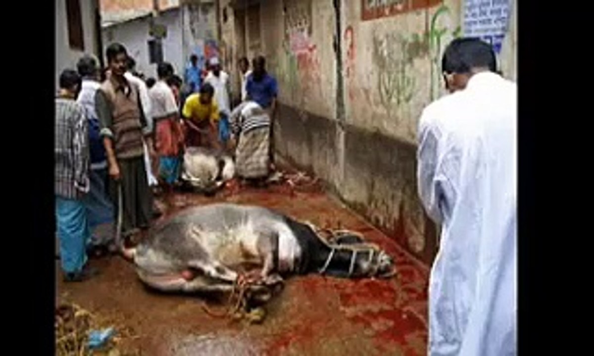 Some heartless people can do with cattle