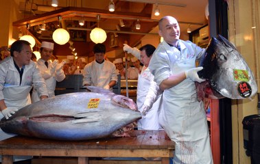 How To Fillet a Whole Tuna For Sushi