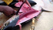 Tuna Fisheries - How To Fillet a Huge Tuna - Tuna Cutting