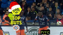 Top 3 buts  Montpellier Hérault SC | mi-saison 2016-17 | Ligue 1