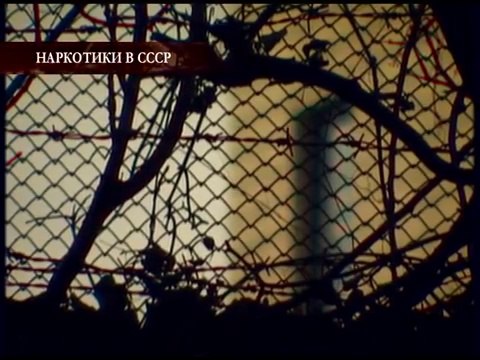 Наркотики в СССР - В поисках истины