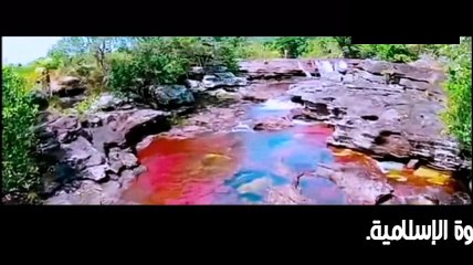 س.ج - أيهما أفضل للمسافر تقديم الصلاة أم تأخيرها. الشيخ المنجد.