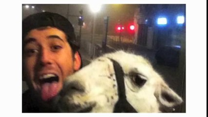 Serge le LAMA   sa vraie histoire sur Facebook