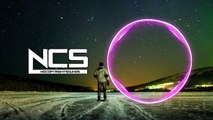 Disfigure - Summer Tune [NCS Release]