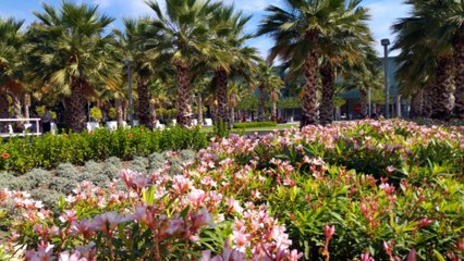 Andalousie,Malaga,album photos,sept 2016