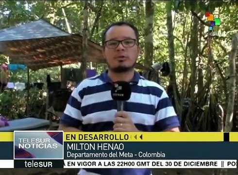 Se movilizan FARC a zonas veredales de transición y normalización