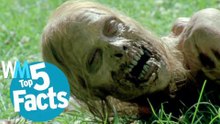 Top 5 Real-Life Zombie Facts