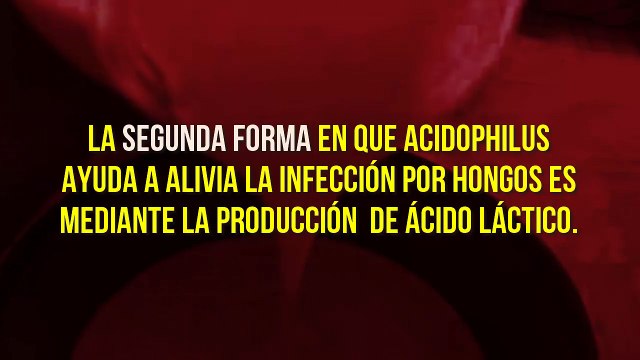 ¿Verdad Que Lactobacillus ACIDOPHILUS Cura la Infección por HONGOS? - Candidiasis Hombres Mujeres
