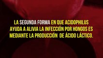 ¿Verdad Que Lactobacillus ACIDOPHILUS Cura la Infección por HONGOS? - Candidiasis Hombres Mujeres