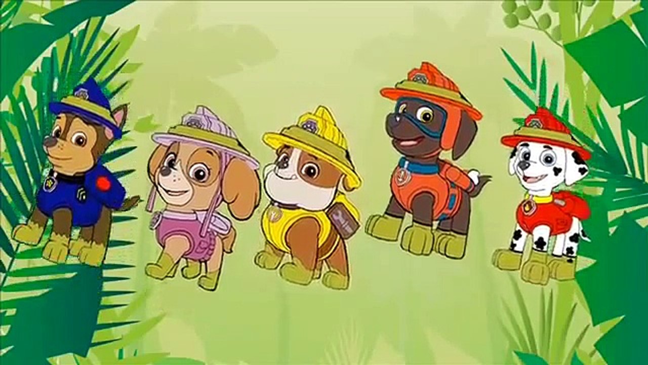 Finger Family Paw Patrol Jungle 2016 Animation Daddy Finger Nursery Rhyme Song For Kids & Toddlers