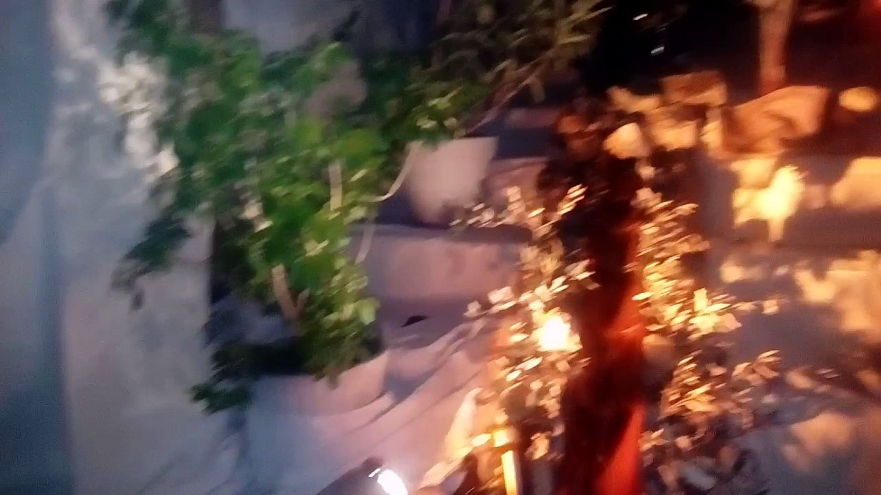 La Crèche De L'eglises Du Dorat (87)