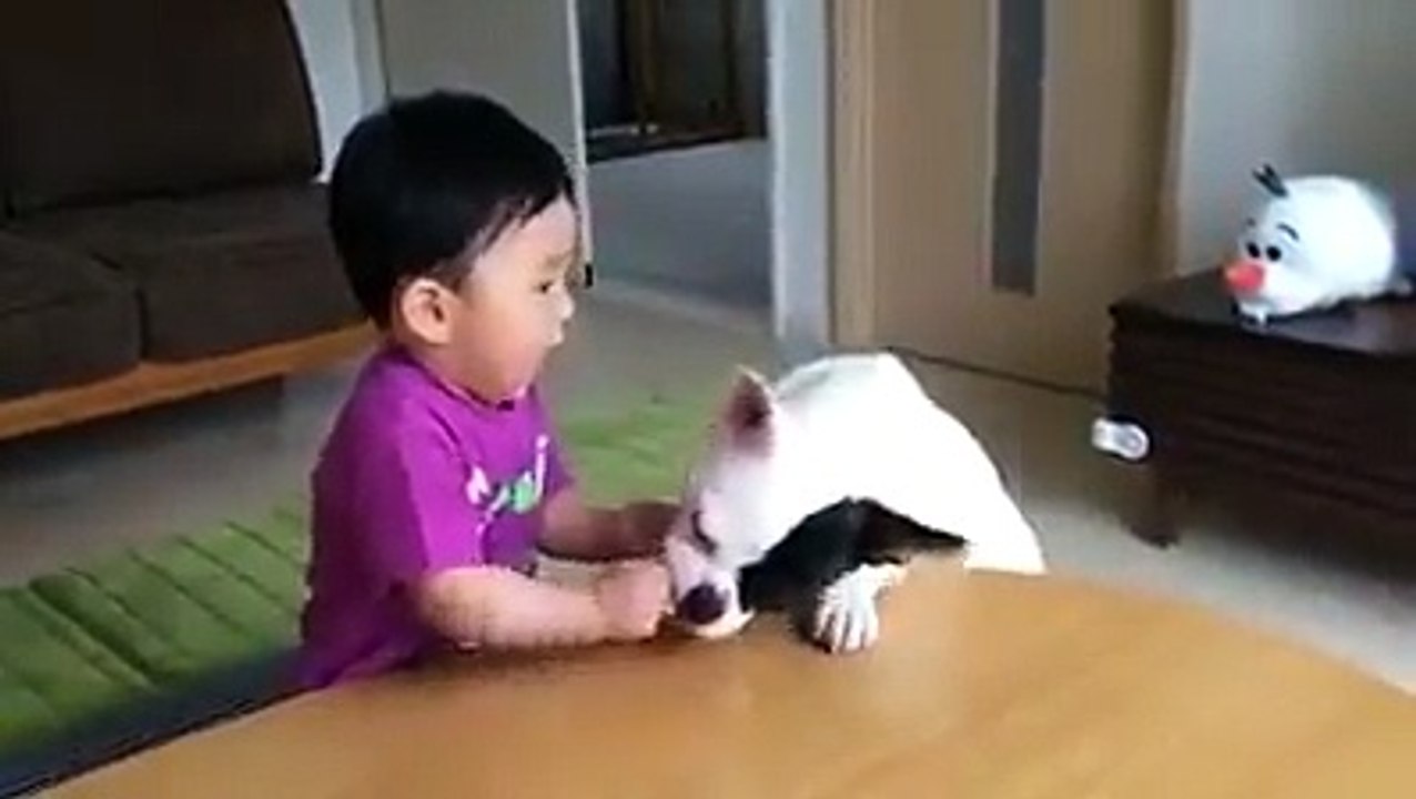Very Funny Video Baby  2017