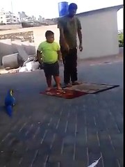 man and boy offering prayer and parrot disturbing him