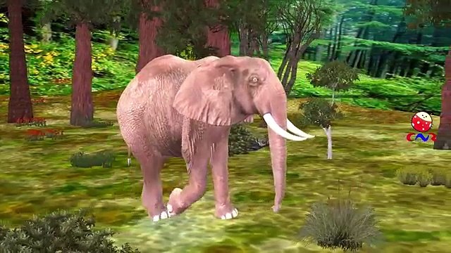 Finger Family Rhymes for Children Elephant Cartoons | Finger Family Children Nursery Rhymes
