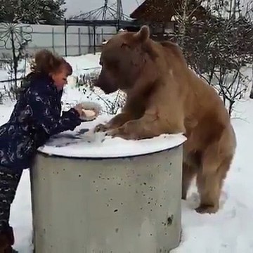 Bir daha kaba insanlara AYI derken bir daha düşünün
