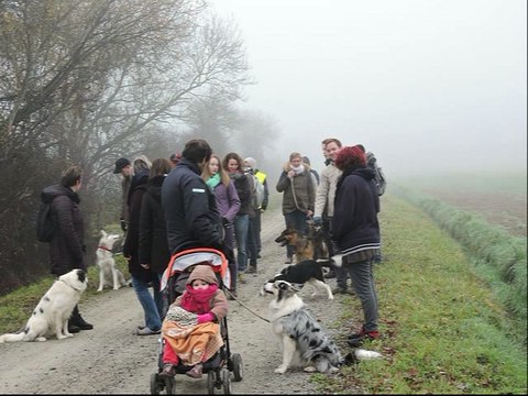Balade éducative décembre