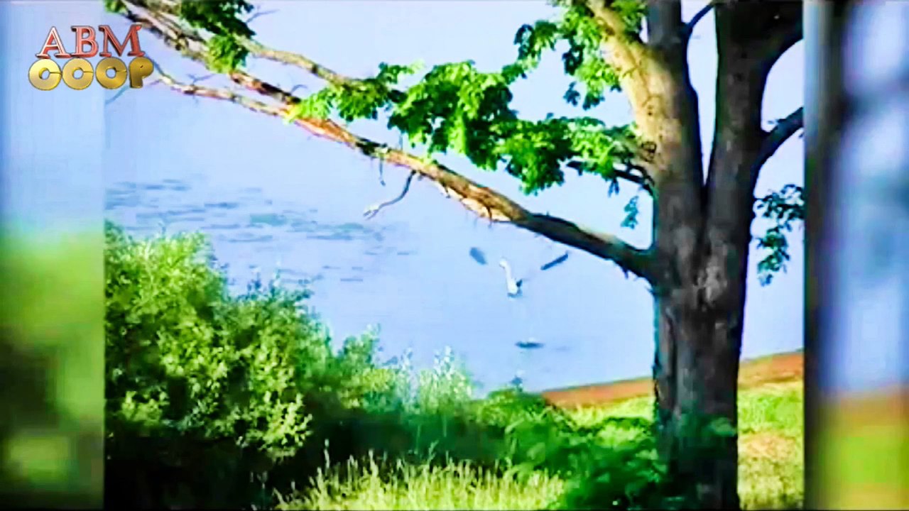 РУСИЧИ - Разродимая Сторонка 7524-2016 FULL HD