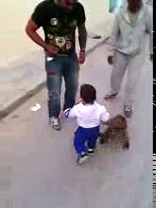 Funny Monkey and Cute Baby