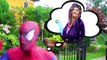 Hulk & Spiderman Becomes SpiderHulk ! w Hulk Spider, Joker, Lady Hulk, Frozen Elsa & Candy