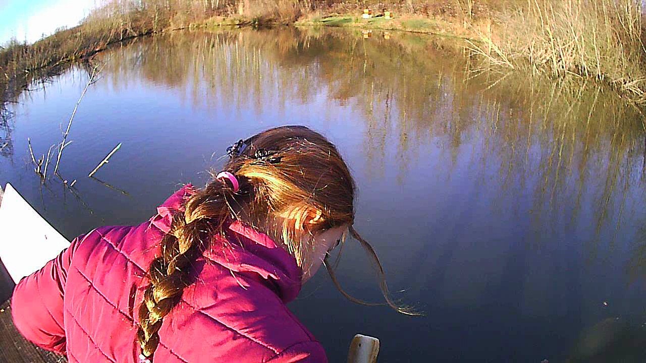 Etang_Chaumont_hiver_2016_sous l'eau
